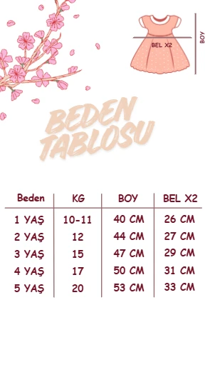 LOTUS (ÖN SİPARİŞ) Pul Payet Özel Gün Doğum Günü Kız Çocuk Parti Elbise   - PUDRA