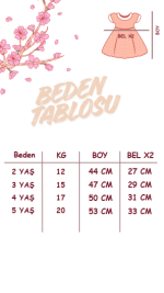 Grace Kadife Dantel Yaka Detaylı Uzun Kollu Etekli Kız Çocuk Elbise - Görsel 4